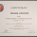 Powiększ obraz: certificate 5