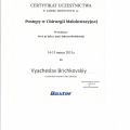 Powiększ obraz: certificate 4