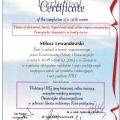 Powiększ obraz: certificate 17