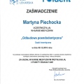 Powiększ obraz: certificate 11