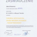 Powiększ obraz: certificate 1