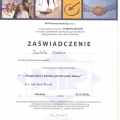Powiększ obraz: certificate 2