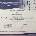 Powiększ obraz: certificate 6