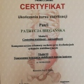 Powiększ obraz: certificate 14