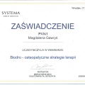 Powiększ obraz: certificate 11