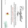 Powiększ obraz: certificate 6