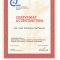 Powiększ obraz: certificate 2