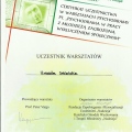 Powiększ obraz: certificate 3