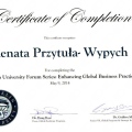 Powiększ obraz: certificate 44