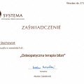 Powiększ obraz: certificate 41