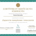 Powiększ obraz: certificate 3