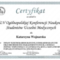 Powiększ obraz: certificate 24