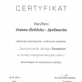 Powiększ obraz: certificate 6