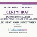 Powiększ obraz: certificate 9