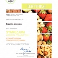 Powiększ obraz: certificate 4