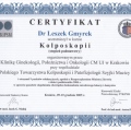 Powiększ obraz: certificate 11