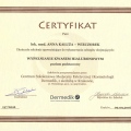 Powiększ obraz: certificate 3
