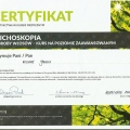 Powiększ obraz: certificate 1