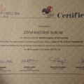 Powiększ obraz: certificate 8