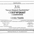 Powiększ obraz: certificate 2