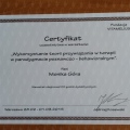 Powiększ obraz: certificate 3