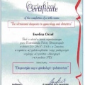 Powiększ obraz: certificate 4