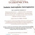 Powiększ obraz: certificate 20
