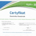 Powiększ obraz: certificate 81