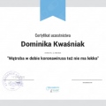 Powiększ obraz: certificate 105