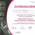 Powiększ obraz: certificate 9