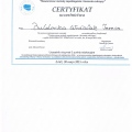 Powiększ obraz: certificate 13