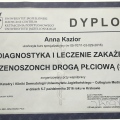 Powiększ obraz: certificate 4