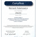 Powiększ obraz: certificate 17