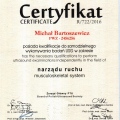 Powiększ obraz: certificate 4