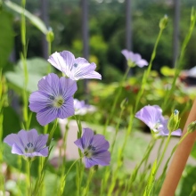 Podstawowa opieka Zdrowotna ,ul.Śniadeckich 10 Kraków-Grzegórzki tel  rejestr.;  12 4248950