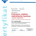 Powiększ obraz: certificate 21