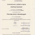 Powiększ obraz: certificate 11