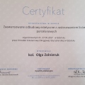 Powiększ obraz: certificate 4