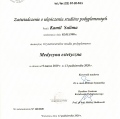 Powiększ obraz: certificate 42