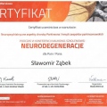 Powiększ obraz: certificate 6