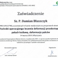Powiększ obraz: certificate 7
