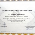 Powiększ obraz: certificate 1