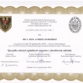 Powiększ obraz: certificate 1