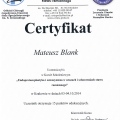 Powiększ obraz: certificate 13