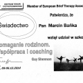Powiększ obraz: certificate 6