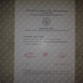 Powiększ obraz: certificate 4