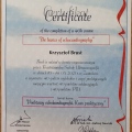 Powiększ obraz: certificate 1