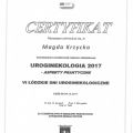 Powiększ obraz: certificate 8