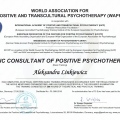 Powiększ obraz: certificate 4