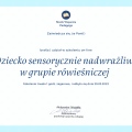 Powiększ obraz: certificate 2